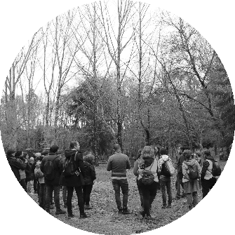 Imagen de portada